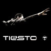 Showtek & Noisecontrollers - Get Loose (Tiesto Remix) (UMF 2013)