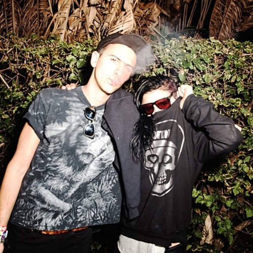 skrillex dog blood