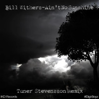 Bill Withers - Ain't No Sunshine (Tuner Stevensson Remix)