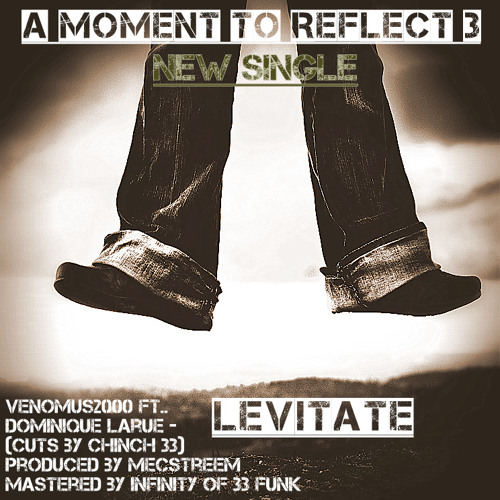 Venomous2000 - Levitate (con Dominique LaRue)
