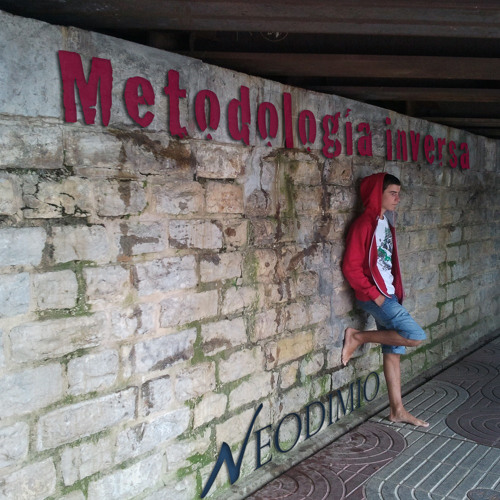 Neodimio - Metodología inversa (2013)