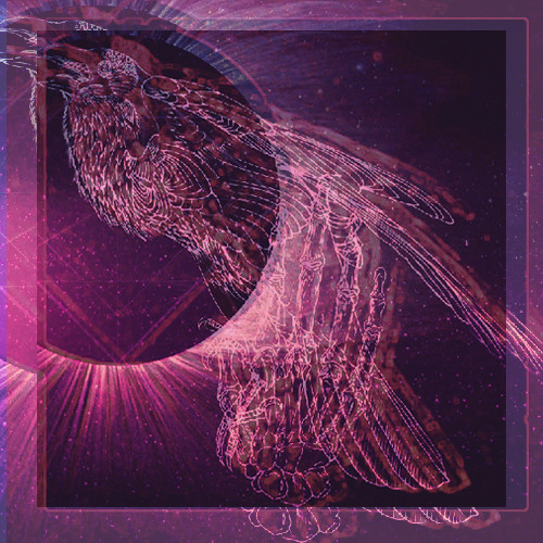 artworks-000067334072-uds6h2-t500x500.jpg