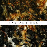 Ninetails - Radiant Hex