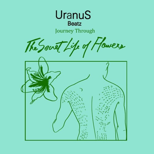 The Secret Life Of Flowers By Uranus Beatz On Soundcloud Hear The World S Sounds chorus but who am i to doubt or question the inevitable being for these are but a few discoveries we find inside the secret life of plants. soundcloud