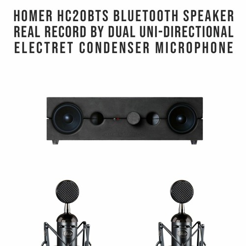 directional bluetooth speaker